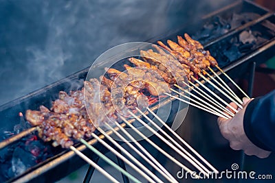 Grilled Chicken and lamb satay Stock Photo