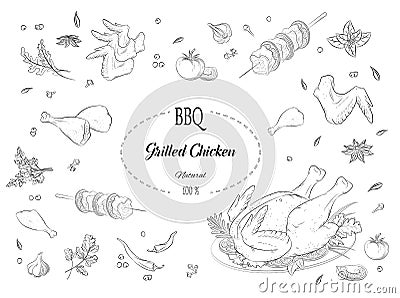 Grilled chicken, meat, barbecue, spices and herbs Vector Illustration