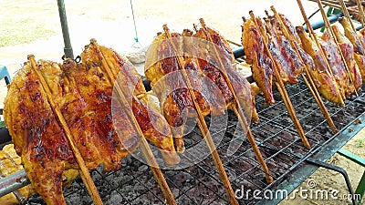 Grilled Chicken.Thai Walking Street Food. Stock Photo