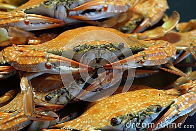 Grilled Crabs Stock Photo