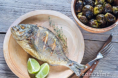 Grilled Dorade Royale Fish with baked brussel sprouts Stock Photo