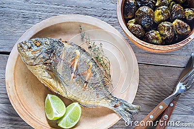 Grilled Dorade Royale Fish with brussel sprouts Stock Photo