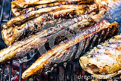 Grilled fish on charcoal grill. Fresh fish barbecue Stock Photo