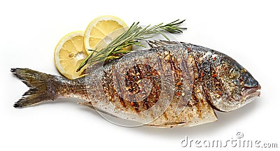 Grilled fish on white background Stock Photo