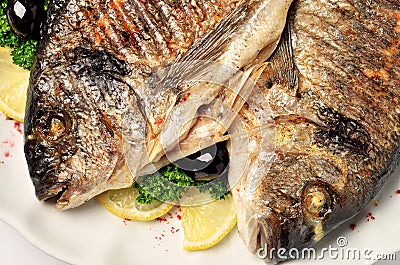 Grilled Gilt-head bream on flat dish Stock Photo