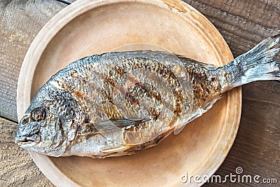 Grilled gilt-head bream Stock Photo