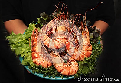 Grilled large fresh prawns served with megetables on blue plate Stock Photo