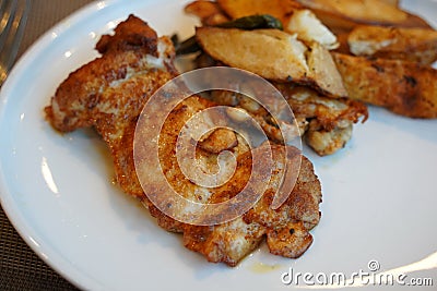 Grilled Marinated boneless skinless chicken thighs(Pargiot). Traditional Israeli dish Stock Photo