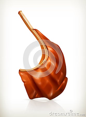 Grilled meat rib Vector Illustration