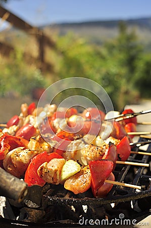 Grilled Meat Skewers on the BBQ Stock Photo