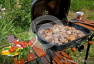 Grilled Meat & Vegetables Stock Photo