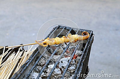 Grilled octopus on skewer, food on street, Thailand Stock Photo