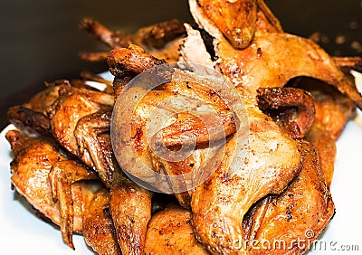 Grilled quail isolated. Culinary concept with delicious food Stock Photo