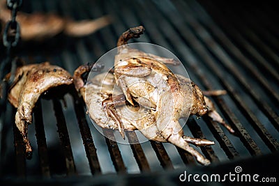 Grilled quail on an open barbecue. Street food Stock Photo