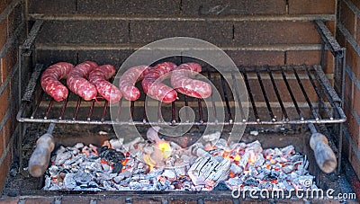 Grilled sausages on the on barbecue with flame, picnic with friends Stock Photo