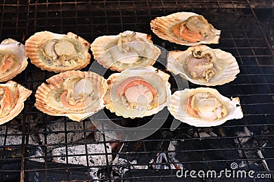 Grilled scallop with butter and garlic by charcoal on iron gridiron Stock Photo