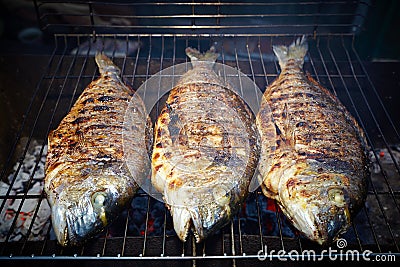 Grilled sea bream Stock Photo