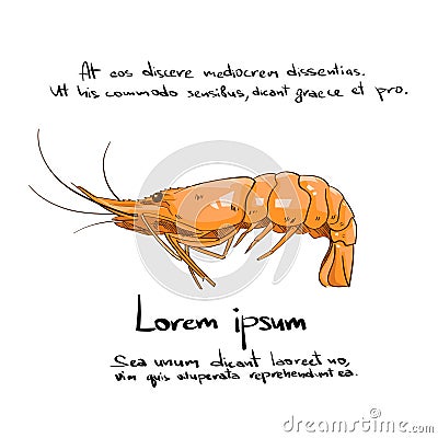 Grilled Shrimp Orange Color Icon Big Prawn Vector Illustration