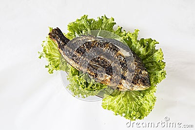 Grilled Sparus aurata with green salad on white background Stock Photo