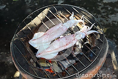 Grilled splendid squid fresh from the sea and safe from formalin Stock Photo