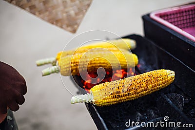 Grilled sweet corn near the beach during sunset time,barbecue concept, in Bali, Indonesia Stock Photo