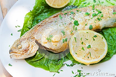 Grilled trout Stock Photo