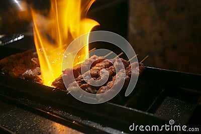 Grilled yakitori chicken skewers at an Izakaya restaurant in Omoide Yokocho street in the Shinjuku district of Tokyo.. Stock Photo