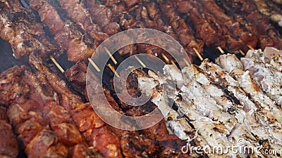 Grilling Meat Kebabs in the Summer Stock Photo