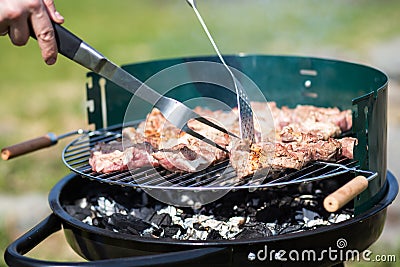 Grilling pork on live coals Stock Photo
