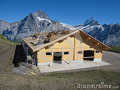 GRINDELWALD, SWITZERLAND - AUGUST 31, 2009: construction workers building house roof structure at construction site, Switzerland Editorial Stock Photo