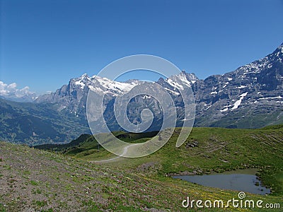 Grindelwald Valley from Kleine Scheidegg Stock Photo