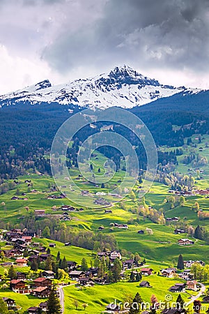 Grindelwald valley with village scattered on the green slopes o Stock Photo