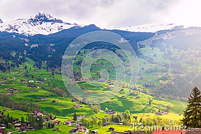 Grindelwald valley with village scattered on the green slopes o Stock Photo