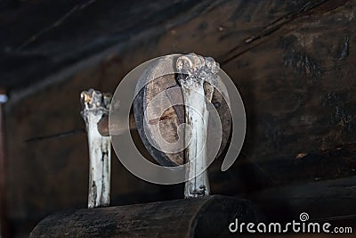 a grinding circle on the bones of an ancient tool made from bone Stock Photo