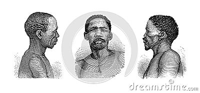 Griqua men | Antique Ethnographic Illustrations Cartoon Illustration