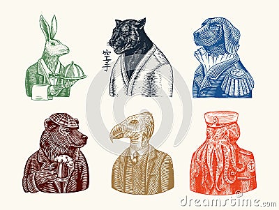 Grizzly Bear with a beer mug. Octopus sailor and Hare or Rabbit waiter. Dog officer and bird. Black panther and Japanese Vector Illustration