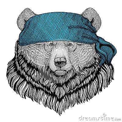 Grizzly bear Big wild bear Wild animal wearing bandana or kerchief or bandanna Image for Pirate Seaman Sailor Biker Stock Photo