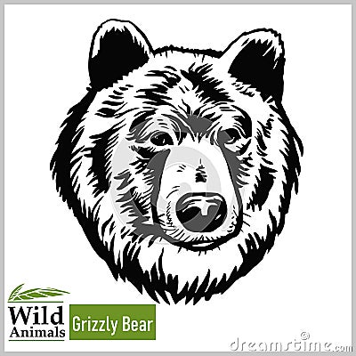 Grizzly Bear head mascot - bear head vector illustration in monochrome style Vector Illustration