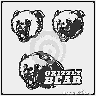 Grizzly bear silhouettes and illustrations. Labels, emblems and design elements for sport club with grizzly bear. Print design for Vector Illustration