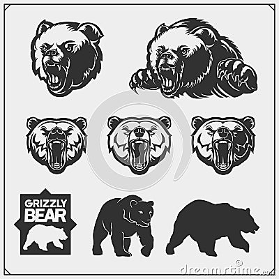 Grizzly bear silhouettes and illustrations. Labels, emblems and design elements for sport club with grizzly bear. Print design for Vector Illustration