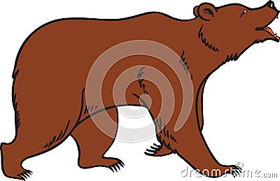 Grizzly Brown Bear Vector Vector Illustration