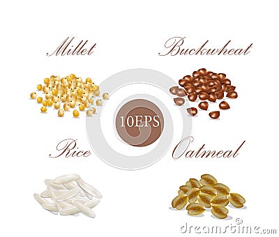 Groats. cereals porridge Vector Illustration