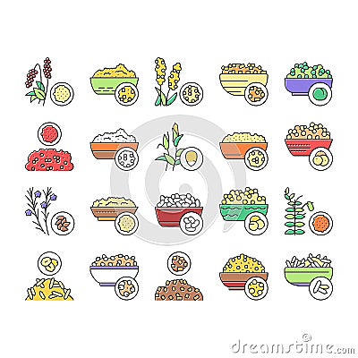 Groats Natural Food Collection Icons Set Vector . Vector Illustration