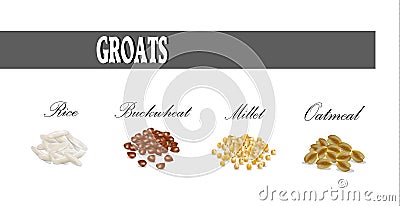 Groats set vector illustration. Vector Illustration