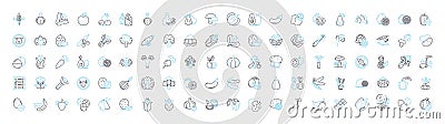 Grocery shop vector line icons set. Grocer, Market, Store, Produce, Provision, Supply, Provisioner illustration outline Vector Illustration