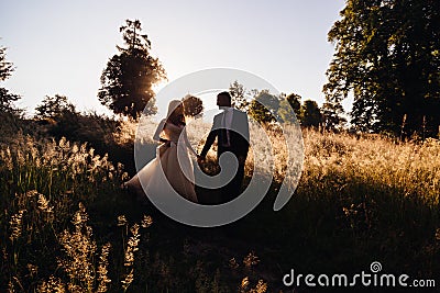 Groom holds bride& x27;s hand while they go down from the hill Stock Photo