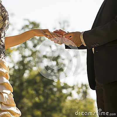 Groom marrying his bride outdoors in a park Stock Photo