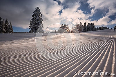 Groomed skiing slope in Black Forest, Germany Stock Photo