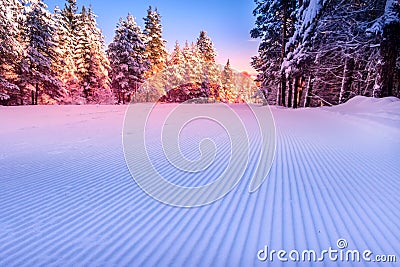 Groomed snow and forest ski slope at dawn Stock Photo