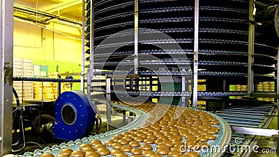 Groot geautomatiseerd om transportbandmachine in de fabriek, de koekjes en de cakesproductielijn van het bakkerijvoedsel stock video Groot geautomatiseerd om transportbandmachine in de fabriek, de koekjes en de cakesproductielijn van het bakkerijvoedsel stock video